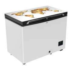 Walton Freezer 255L  WCG-2E5-GELE-CX