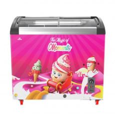 Walton Ice Cream Freezer 270L  WCG-2G0-CGXX-XX