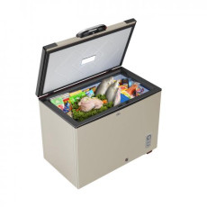 Walton Freezer 255L  WCG-2E5-EHLC-XX